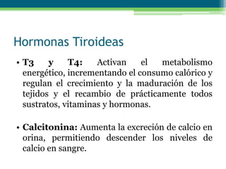 Hormonas Tiroideas
• T3 y T4: Activan el metabolismo
energético, incrementando el consumo calórico y
regulan el crecimiento y la maduración de los
tejidos y el recambio de prácticamente todos
sustratos, vitaminas y hormonas.
• Calcitonina: Aumenta la excreción de calcio en
orina, permitiendo descender los niveles de
calcio en sangre.
 