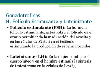Gonadotrofinas
H. Folículo Estimulante y Luteinizante
• Folículo estimulante (FSH): La hormona
folículo estimulante, actúa sobre el folículo en el
ovario permitiendo la maduración del ovocito y
en las células de Sértoli en el testículo
estimulando la producción de espermatozoides.
• Luteinizante (LH): En la mujer mantiene el
cuerpo lúteo y en el hombre estimula la síntesis
de testosterona en la células de Leydig.
 