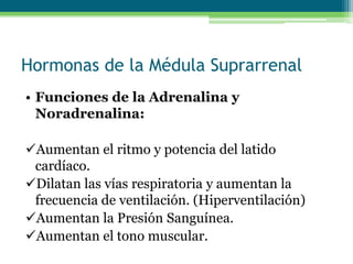 Hormonas de la Médula Suprarrenal
• Funciones de la Adrenalina y
Noradrenalina:
Aumentan el ritmo y potencia del latido
cardíaco.
Dilatan las vías respiratoria y aumentan la
frecuencia de ventilación. (Hiperventilación)
Aumentan la Presión Sanguínea.
Aumentan el tono muscular.
 