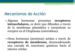 Mecanismos de Acción
• Algunas hormonas presentan receptores
intracelulares, es decir que difunden a través
de la membrana plasmática y encuentran su
receptor en el Citoplasma (esteroideas).
• Otras hormonas (proteicas) actúan a través de
receptores de membrana, desencadenando
una cascada de reacciones químicas hacia el
interior celular.
 