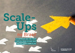 1
Scale-
				Ups
no Brasil
AS EMPRESAS QUE VÃO TIRAR
O PAÍS DA CRISE (E O QUE VOCÊ
PRECISA SABER SOBRE ELAS)
 