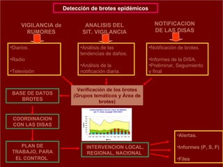 VIGILANCIA de RUMORES COORDINACION CON LAS DISAS Análisis de las tendencias de daños. Análisis de la notificación diaria. Notificación de brotes. Informes de la DISA. Preliminar, Seguimiento y final Diarios. Radio Televisión Detección de brotes epidémicos ANALISIS DEL SIT. VIGILANCIA NOTIFICACION DE LAS DISAS Verificación de los brotes (Grupos temáticos y Área de brotes) BASE DE DATOS BROTES INTERVENCION LOCAL, REGIONAL, NACIONAL  PLAN DE TRABAJO, PARA EL CONTROL   Alertas. Informes (P, S, F)  Files 