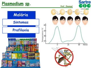 Plasmodium sp.
Malária
Sintomas
Profilaxia

Prof. Emanuel

 