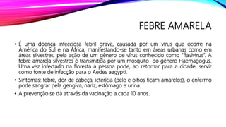 FEBRE AMARELA
• É uma doença infecciosa febril grave, causada por um vírus que ocorre na
América do Sul e na África, manifestando-se tanto em áreas urbanas como em
áreas silvestres, pela ação de um gênero de vírus conhecido como “flavivírus”. A
febre amarela silvestres é transmitida por um mosquito do gênero Haemagogus.
Uma vez infectado na floresta a pessoa pode, ao retornar para a cidade, servir
como fonte de infecção para o Aedes aegypti.
• Sintomas: febre, dor de cabeça, icterícia (pele e olhos ficam amarelos), o enfermo
pode sangrar pela gengiva, nariz, estômago e urina.
• A prevenção se dá através da vacinação a cada 10 anos.
 