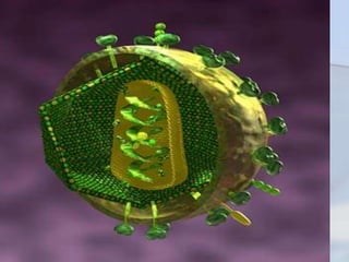 Endemias, Epidemias Y Brotes