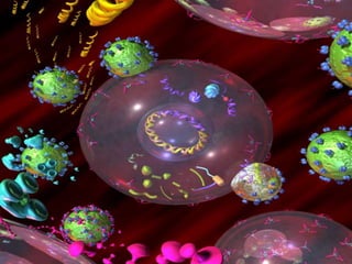 Endemias, Epidemias Y Brotes