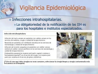 Endemias, Epidemias Y Brotes