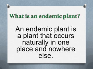 An endemic plant is
a plant that occurs
  naturally in one
place and nowhere
       else.
 