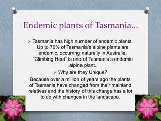 Endemic plants of Tasmania...
  Tasmania has high number of endemic plants.
      Up to 70% of Tasmania’s alpine plants are
       endemic, occurring naturally in Australia.
    “Climbing Heat” is one of Tasmania’s endemic
                     alpine plant.
               Why are they Unique?
  Because over a million of years ago the plants
  of Tasmania have changed from their mainland
 relatives and the history of this change has a lot
        to do with changes in the landscape.
 
