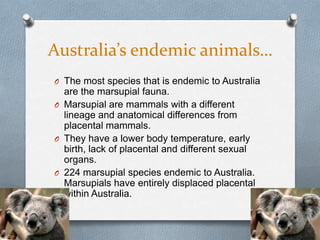 Australia’s endemic animals…
O The most species that is endemic to Australia
  are the marsupial fauna.
O Marsupial are mammals with a different
  lineage and anatomical differences from
  placental mammals.
O They have a lower body temperature, early
  birth, lack of placental and different sexual
  organs.
O 224 marsupial species endemic to Australia.
  Marsupials have entirely displaced placental
  within Australia.
 
