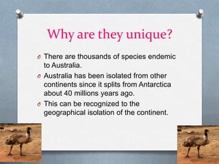 Why are they unique?
O There are thousands of species endemic
  to Australia.
O Australia has been isolated from other
  continents since it splits from Antarctica
  about 40 millions years ago.
O This can be recognized to the
  geographical isolation of the continent.
 