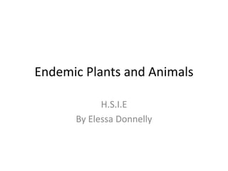 Endemic Plants and Animals

            H.S.I.E
      By Elessa Donnelly
 