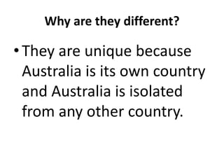 Why are they different?

• They are unique because
  Australia is its own country
  and Australia is isolated
  from any other country.
 