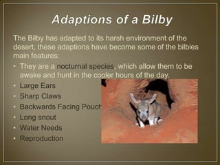 The Bilby has adapted to its harsh environment of the
desert, these adaptions have become some of the bilbies
main features:
• They are a nocturnal species, which allow them to be
  awake and hunt in the cooler hours of the day.
• Large Ears
• Sharp Claws
• Backwards Facing Pouch
• Long snout
• Water Needs
• Reproduction
 