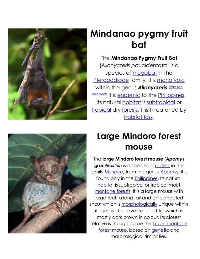 Pilipinas Mayaman Sa Mga Endemic Species - vrogue.co