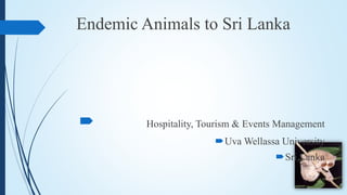 Endemic Animals to Sri Lanka
 Hospitality, Tourism & Events Management
Uva Wellassa University
Sri Lanka
 