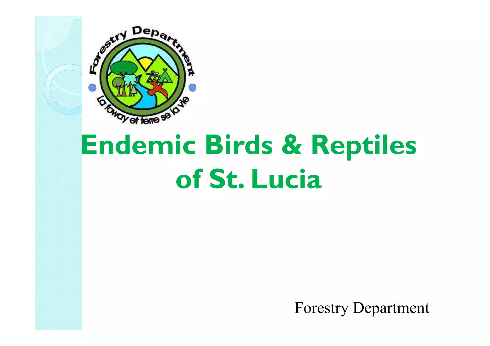 Endemic birds & reptiles [compatibility mode] | PPT
