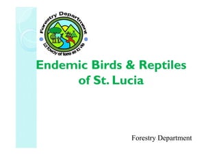 Endemic Birds &Endemic Birds & ReptilesReptiles
of St. Luciaof St. Luciaof St. Luciaof St. Lucia
Forestry Department
 