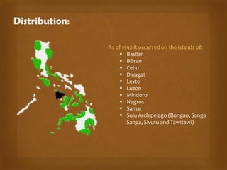 Distribution:
As of 1992 it occurred on the islands of:
 Basilan
 Biliran
 Cebu
 Dinagat
 Leyte
 Luzon
 Mindoro
 Negros
 Samar
 Sulu Archipelago (Bongao, Sanga
Sanga, Sivutu and Tawitawi)

 