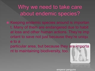  Keeping endemic species around is importan
t. Many of them are endangered due to habit
at loss and other human actions. They’re imp
ortant to save not just because they’re uniqu
e to a
particular area, but because they are importa
nt to maintaining biodiversity, too.
emperor penguins
 