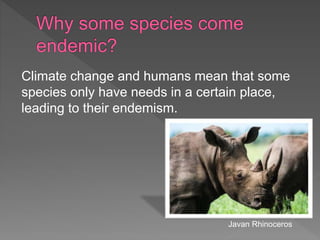 Climate change and humans mean that some
species only have needs in a certain place,
leading to their endemism.
Javan Rhinoceros
 