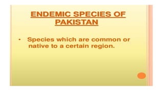 Endemic species of pakistan A Presentation By Mr Allah Dad khan Former ...