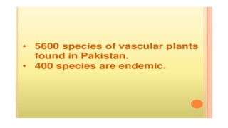 Endemic species of pakistan A Presentation By Mr Allah Dad khan Former ...