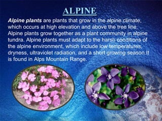 Endemic species of plants | PPTX