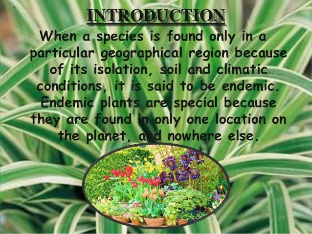 Endemic Species Of Plants endemic-species-of-plants