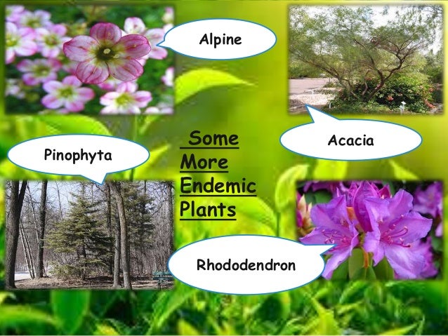 Endemic Species Of Plants endemic-plants-of-russia-worldatlas