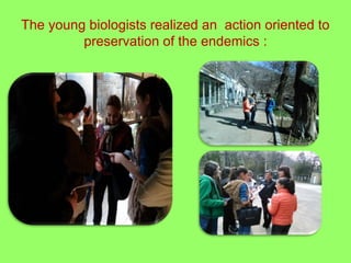 The young biologists realized an action oriented to
preservation of the endemics :
 