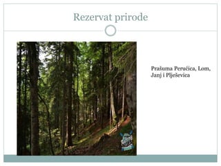 Rezervat prirode
Prašuma Perućica, Lom,
Janj i Plješevica
 