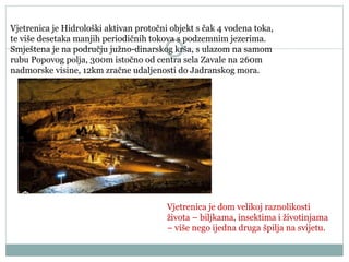 Vjetrenica je Hidrološki aktivan protočni objekt s čak 4 vodena toka,
te više desetaka manjih periodičnih tokova s podzemnim jezerima.
Smještena je na području južno-dinarskog krša, s ulazom na samom
rubu Popovog polja, 300m istočno od centra sela Zavale na 260m
nadmorske visine, 12km zračne udaljenosti do Jadranskog mora.
Vjetrenica je dom velikoj raznolikosti
života – biljkama, insektima i životinjama
– više nego ijedna druga špilja na svijetu.
 