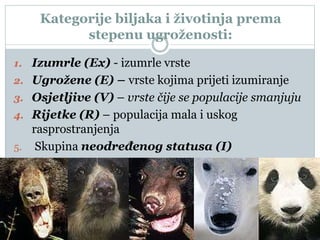 Kategorije biljaka i životinja prema
stepenu ugroženosti:
1. Izumrle (Ex) - izumrle vrste
2. Ugrožene (E) – vrste kojima prijeti izumiranje
3. Osjetljive (V) – vrste čije se populacije smanjuju
4. Rijetke (R) – populacija mala i uskog
rasprostranjenja
5. Skupina neodređenog statusa (I)
 