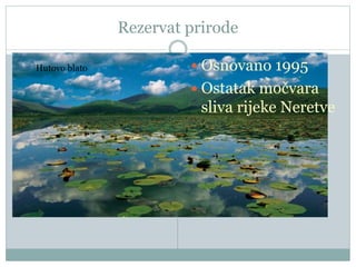 Rezervat prirode
 Osnovano 1995
 Ostatak močvara
sliva rijeke Neretve
Hutovo blato
 