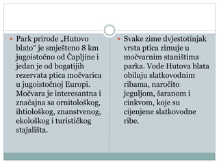  Park prirode „Hutovo
blato“ je smješteno 8 km
jugoistočno od Čapljine i
jedan je od bogatijih
rezervata ptica močvarica
u jugoistočnoj Europi.
Močvara je interesantna i
značajna sa ornitološkog,
ihtiološkog, znanstvenog,
ekološkog i turističkog
stajališta.
 Svake zime dvjestotinjak
vrsta ptica zimuje u
močvarnim staništima
parka. Vode Hutova blata
obiluju slatkovodnim
ribama, naročito
jeguljom, šaranom i
cinkvom, koje su
cijenjene slatkovodne
ribe.
 