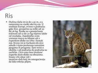 Endemične vrste biljaka i životinja u BiH | PPTX