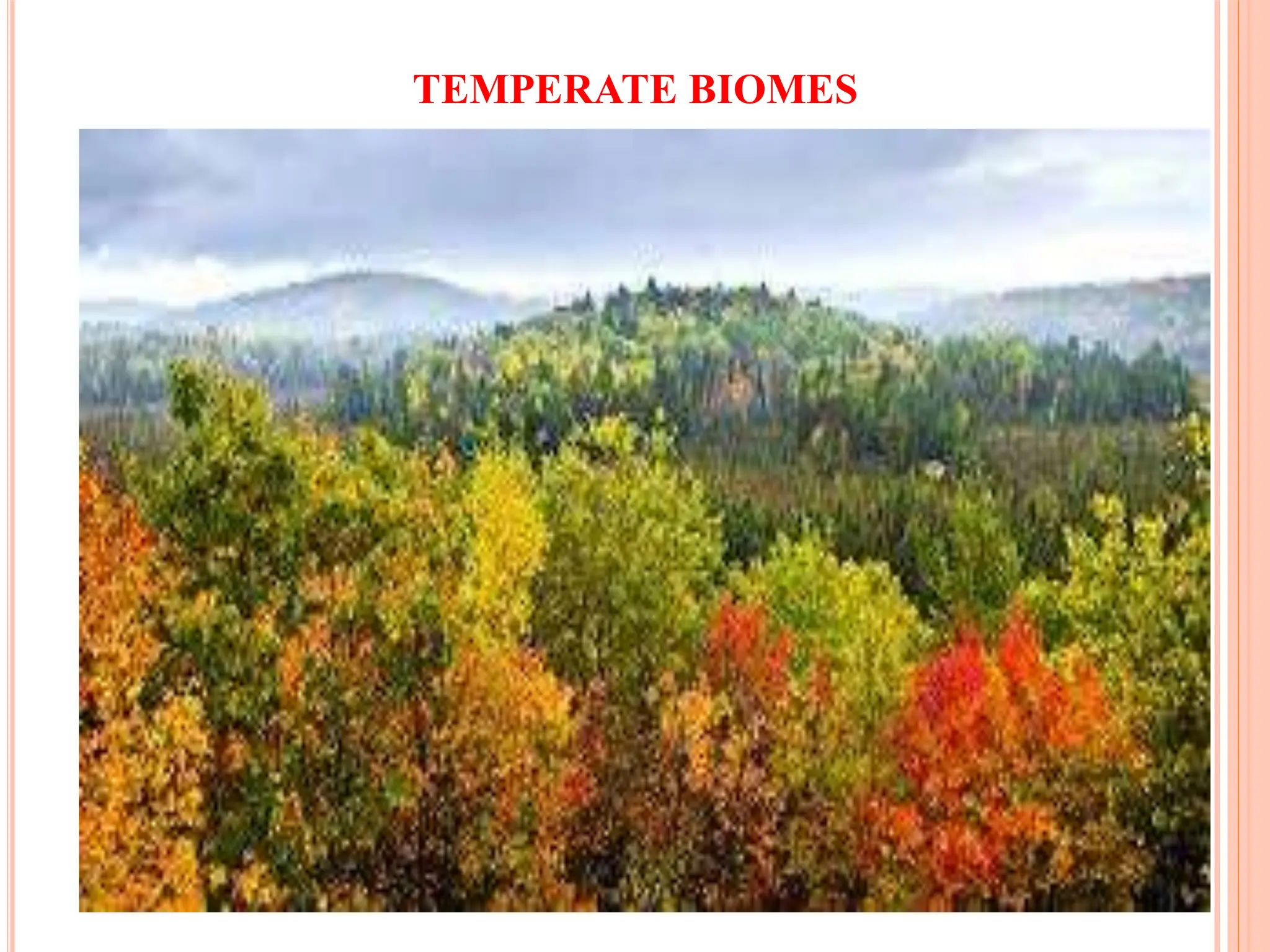 TEMPERATE BIOMES
 