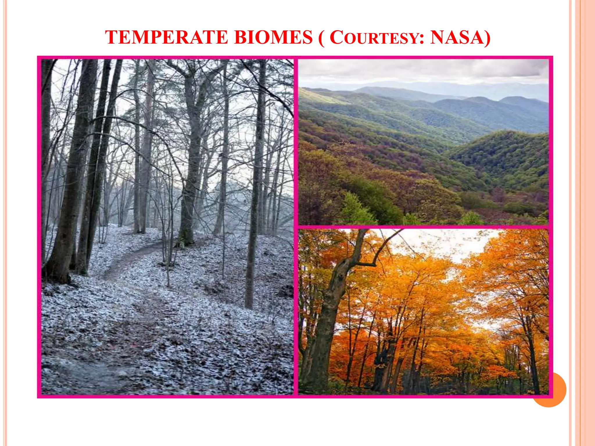 TEMPERATE BIOMES ( COURTESY: NASA)
 