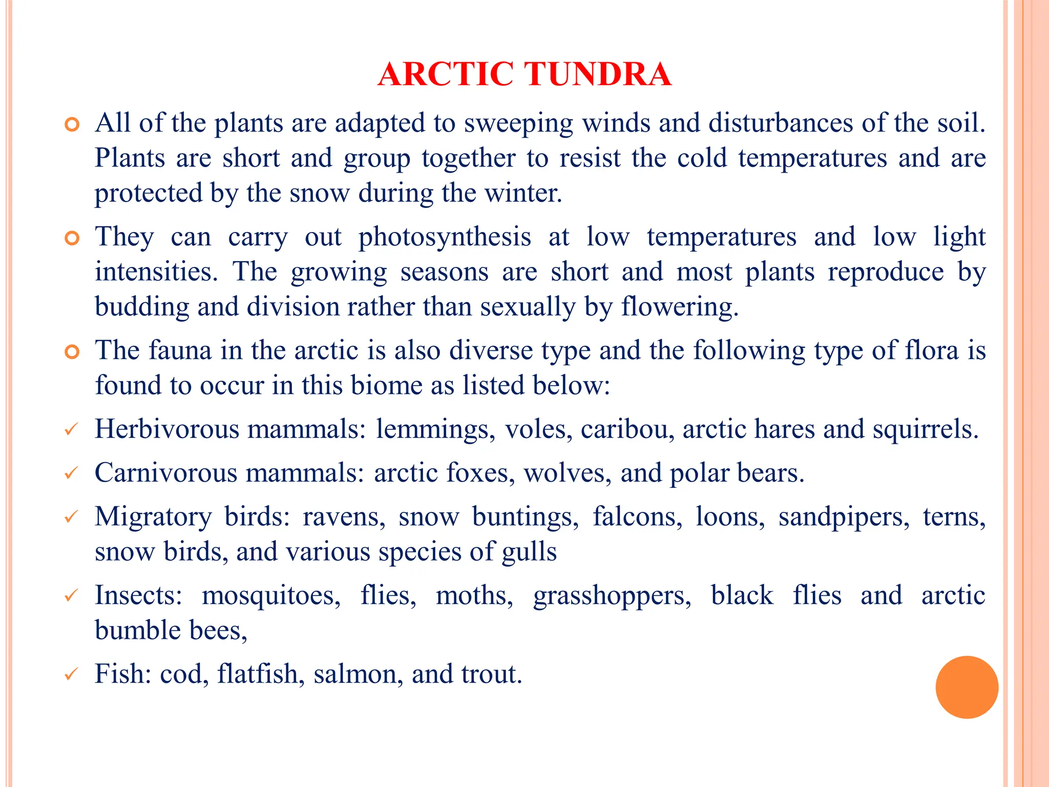 ARCTIC TUNDRA
 All of the plants are adapted to sweeping winds and disturbances of the soil.
Plants are short and group together to resist the cold temperatures and are
protected by the snow during the winter.
 They can carry out photosynthesis at low temperatures and low light
intensities. The growing seasons are short and most plants reproduce by
budding and division rather than sexually by flowering.
 The fauna in the arctic is also diverse type and the following type of flora is
found to occur in this biome as listed below:
 Herbivorous mammals: lemmings, voles, caribou, arctic hares and squirrels.
 Carnivorous mammals: arctic foxes, wolves, and polar bears.
 Migratory birds: ravens, snow buntings, falcons, loons, sandpipers, terns,
snow birds, and various species of gulls
 Insects: mosquitoes, flies, moths, grasshoppers, black flies and arctic
bumble bees,
 Fish: cod, flatfish, salmon, and trout.
 