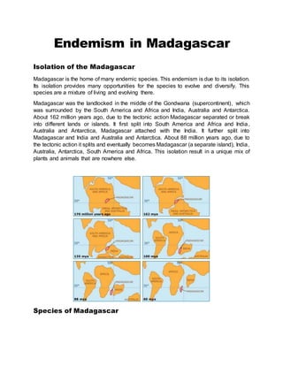 Endemism in Madagascar
Isolation of the Madagascar
Madagascar is the home of many endemic species. This endemism is due to its isolation.
Its isolation provides many opportunities for the species to evolve and diversify. This
species are a mixture of living and evolving there.
Madagascar was the landlocked in the middle of the Gondwana (supercontinent), which
was surrounded by the South America and Africa and India, Australia and Antarctica.
About 162 million years ago, due to the tectonic action Madagascar separated or break
into different lands or islands. It first split into South America and Africa and India,
Australia and Antarctica, Madagascar attached with the India. It further split into
Madagascar and India and Australia and Antarctica. About 88 million years ago, due to
the tectonic action it splits and eventually becomes Madagascar (a separate island), India,
Australia, Antarctica, South America and Africa. This isolation result in a unique mix of
plants and animals that are nowhere else.
Species of Madagascar
 
