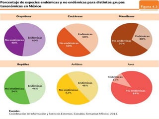 Endemismos en México 