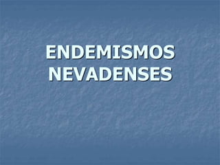 ENDEMISMOS
NEVADENSES
 