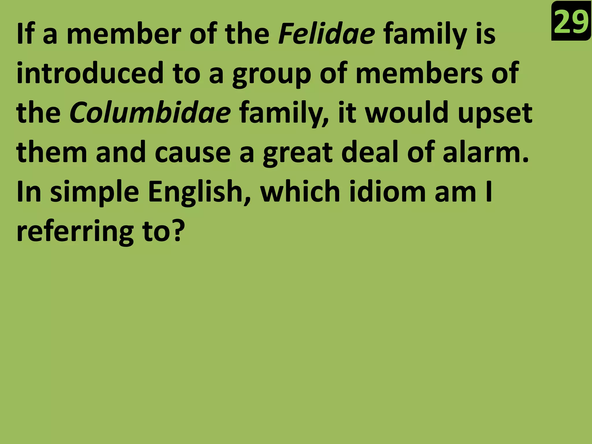 29If a member of the Felidae family is introduced to a group of members of the Columbidae family, it would upset them and cause a great deal of alarm. In simple English, which idiom am I referring to?