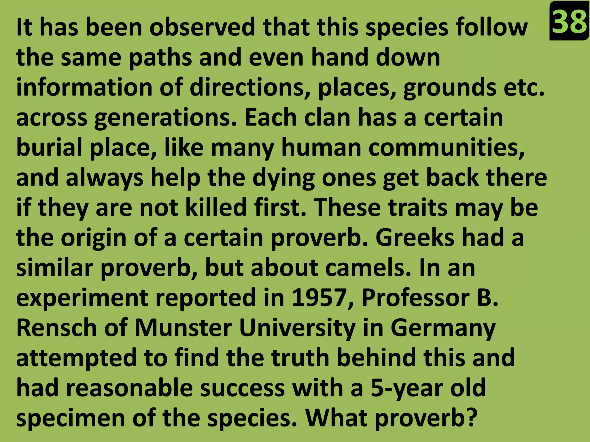 38It has been observed that this species follow the same paths and even hand down information of directions, places, grounds etc. across generations. Each clan has a certain burial place, like many human communities, and always help the dying ones get back there if they are not killed first. These traits may be the origin of a certain proverb. Greeks had a similar proverb, but about camels. In an experiment reported in 1957, Professor B. Rensch of Munster University in Germany attempted to find the truth behind this and had reasonable success with a 5-year old specimen of the species. What proverb?