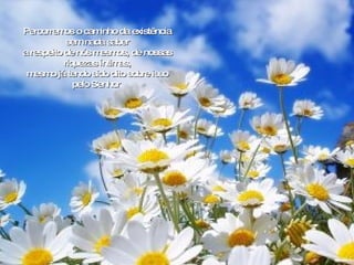 Percorremos o caminho da existência sem nada saber a respeito de nós mesmos, de nossas riquezas íntimas, mesmo já tendo sido dito sobre isso pelo Senhor . 