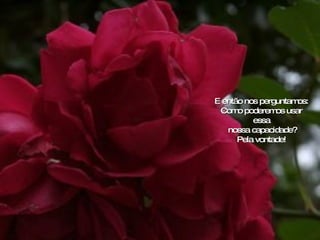 E então nos perguntamos:  Como poderemos usar essa nossa capacidade? Pela vontade! 