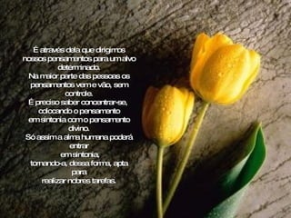 É através dela que dirigimos nossos pensamentos para um alvo determinado. Na maior parte das pessoas os pensamentos vem e vão, sem controle. É preciso saber concentrar-se,  colocando o pensamento em sintonia com o pensamento divino. Só assim a alma humana poderá entrar em sintonia, tornando-a, dessa forma, apta para realizar nobres tarefas. . 