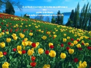 A vontade é a maior de todas as potências e seu  poder é ilimitado. Sua ação é comparável a de um ímã. 