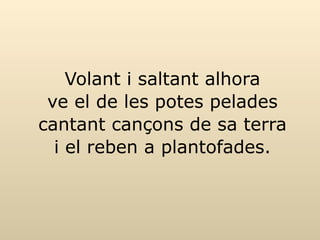 Volant i saltant alhora ve el de les potes pelades cantant cançons de sa terra i el reben a plantofades. 